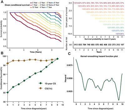 Dynamic estimates of survival of patients with poorly differentiated thyroid carcinoma: a population-based study
